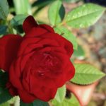 伝える基本「アイメッセージ」