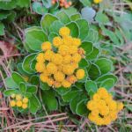 「ない」のに「ある」、「ある」のに「ない」