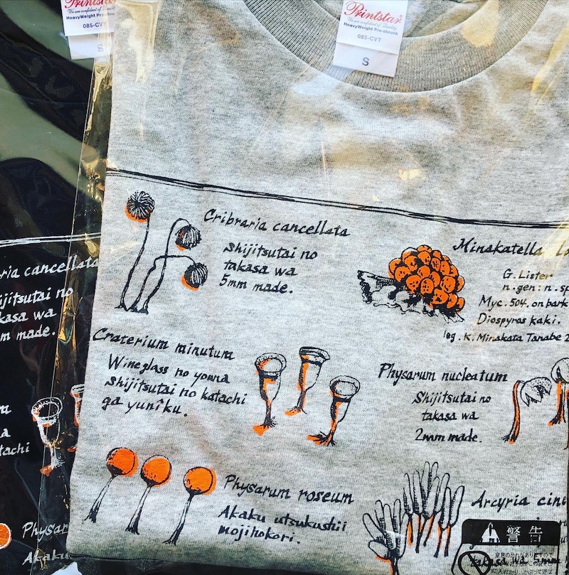 「変形菌 Tシャツ」南方熊楠顕彰館&ネット販売中