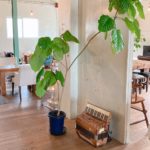 アコーディオンの音色【BASIC+ひとしずく】