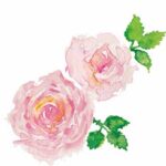 内なる神性のはなし