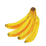 「こんな夜にしつもん読書会かよ♪」