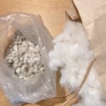 あまりに可愛い綿の後半記事+個展の告知ちょっとだけ