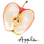 一粒の種が、いずれ何倍にも実るから【個展開催中】