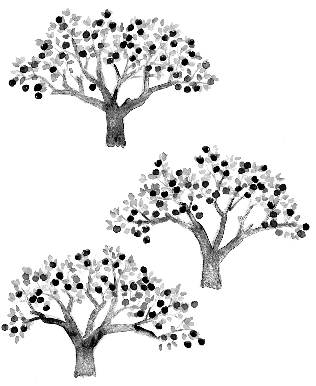 種まきアクション「行きたい場所に行く」