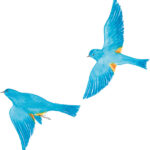 春の足音とシェア告知と「普通」について【オンライン展示も続く】