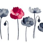 JOYの循環、そして動画アップ祭り（大袈裟）