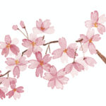 実験観測「欲しいと思った情報がすぐにやってくる」おはなし