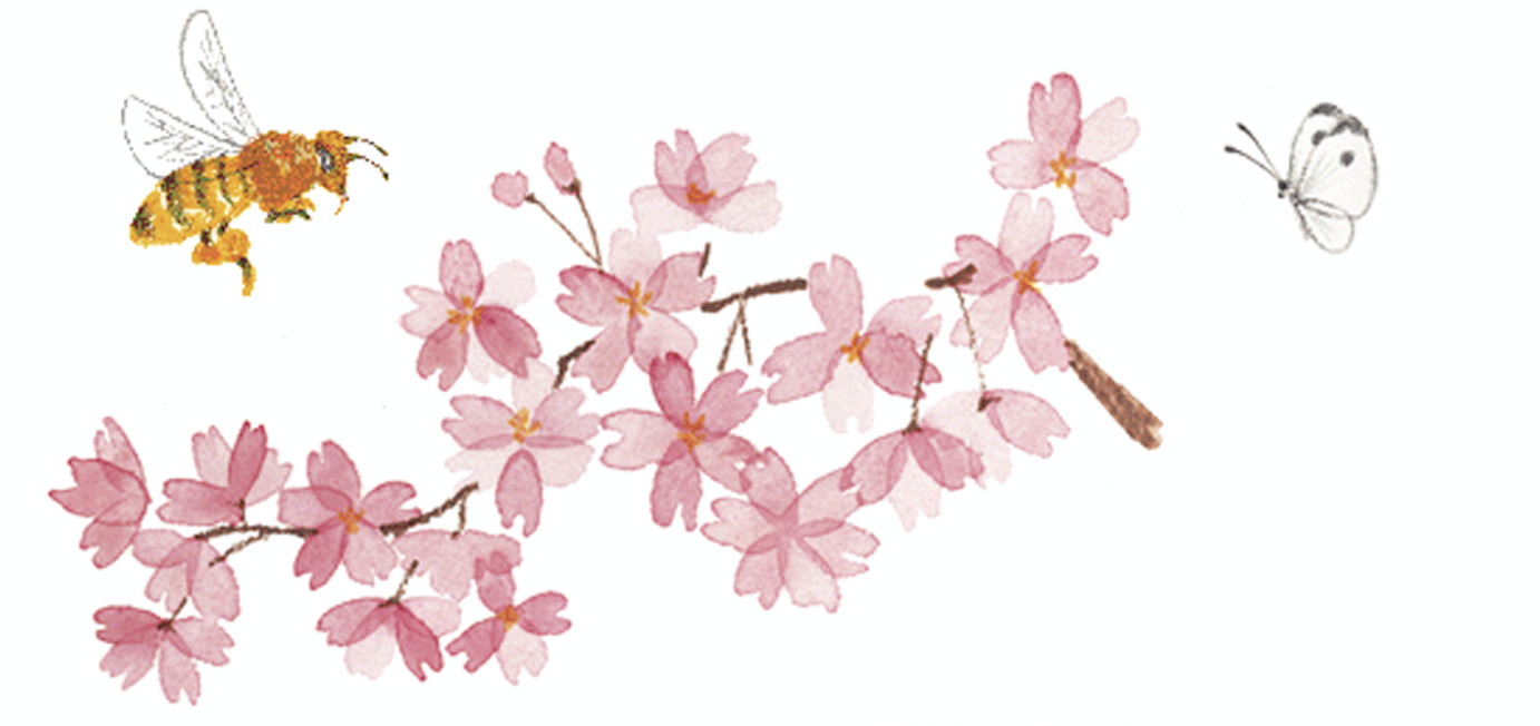 実験観測「欲しいと思った情報がすぐにやってくる」おはなし