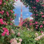 東京での、その他あちこち記録