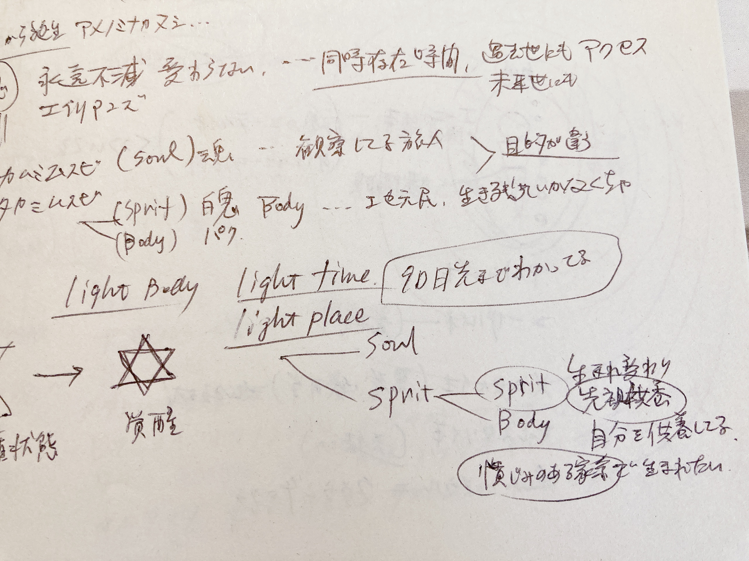 先祖を知れば未来が見える 家系図に秘められた謎に迫る Amazon.co.jp: 先祖を知れば未来が見える: 家系図に秘められた謎